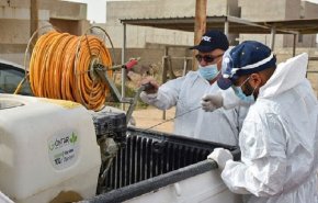 36 وفاة وارتفاع الإصابات بالحمى النزفية إلى 226 في العراق 