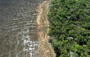 جنگل‌زدایی در آمازون در نیمه نخست سال جاری میلادی رکورد جدید برجا گذاشت