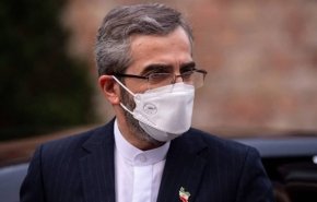 باقری: اجلاس تهران پس از سفر ناموفق بایدن به منطقه نشانه هوشمندی دیپلماسی ایران است