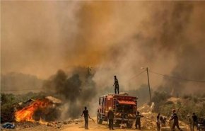 مصرع شخص وإجلاء ألف عائلة بسبب حرائق الغابات في المغرب