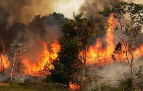 الحرائق الواسعة تواصل اجتياح اوروبا ونصف أراضيها تواجه خطر الجفاف