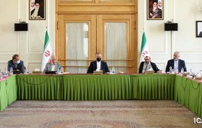 تأکید نمایندگان مجلس و امیرعبداللهیان بر تدوین قانون جامع حمایت از ایرانیان خارج از کشور