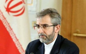 باقری: برنامه‌ریزی اجلاس آستانه نماد برتری گفتمان تعامل منطقه ای جمهوری اسلامی ایران است
