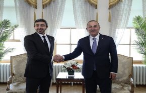 الإمارات وتركيا تبحثان 'اتفاق الحبوب' وتصديرها عبر البحر الاسود