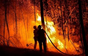 آتش، ۲۵۰ هکتار از درختان جنگل‌های فرانسه را طعمه حریق کرد/ چهار آتش نشان مجروح شدند