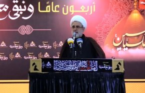 الشيخ قاووق: رسالة فيديو حزب الله واضحة للعدو 
