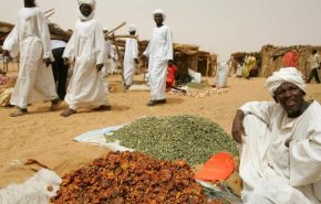 بالفيديو.. شبح المجاعة يخيم على ربع سكان السودان