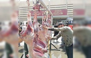 ازدهار تجارة وبيع اللحوم الطازجة أمام مبنى البرلمان العراقي!