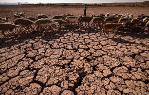 شاهد.. المغرب يعاني من أسوأ جفاف منذ 40 عاماً