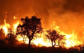ارتفاع حصيلة ضحايا الحرائق في الجزائر والجيش يتدخل