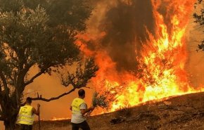 الجزائر.. حرائق جديدة في الطارف