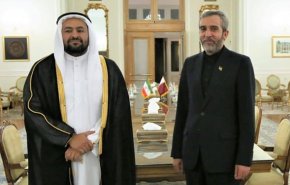 باقري كني: الحکومة تعمل على تعزیز التعاون الإقليمي في اطار سياسة الحوار