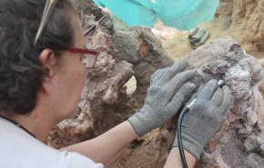 شاهد.. رجل يعثر على كنز مدفون منذ 160 مليون عام في البرتغال!