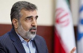 کمالوندی: خواسته‌های آژانس از ایران، زیاده‌خواهانه است
