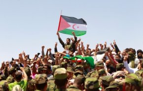 درخواست الجزایر برای از سرگیری گفتگوهای بین مغرب و جبهه پولیساریو 