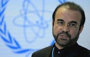إيران تؤكد على ضرورة تدمير جميع أنواع مخزونات الأسلحة الكيمياوية في العالم
