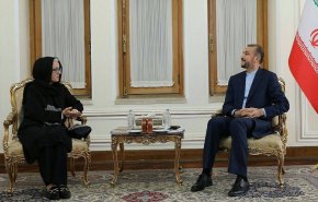 أميرعبداللهيان يلتقي مديرة مكتب اليونسكو الإقليمي في إيران