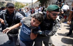 الاحتلال يعتقل فتى بقرية كفر عين ويعتدي على الأهالي
