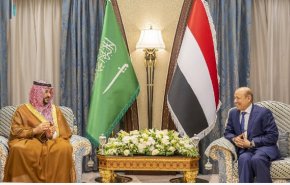 دیدار وزیر دفاع عربستان با رئیس شورای رهبری دولت مستعفی یمن 