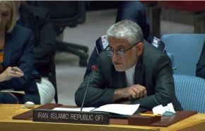 ایروانی خواستار حمایت شورای امنیت از تعامل سازنده میان سوریه و سازمان منع سلاح‌های شیمیایی شد