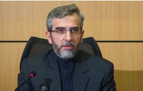 باقری: تضییع حقوق ایرانیان در هیچ نقطه از جهان را برنمی‌تابیم
