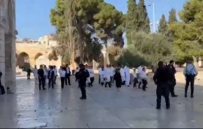 یورش گسترده شهرک‌نشینیان به مسجدالاقصی در آستانه عید یهودیان + ویدئو