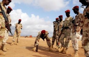 مقتل وإصابة 11 جنديا في هجوم مسلح بجيبوتي 