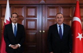قطر وتركيا تؤكدان 'التوافق التام' بشأن قضايا المنطقة

