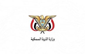 اليمن يدين استحداث قواعد اماراتية في جزيرة ميون