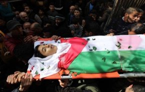 نظامیان صهیونیست از آغاز سال جاری تاکنون چند فلسطینی را به شهادت رسانده اند؟