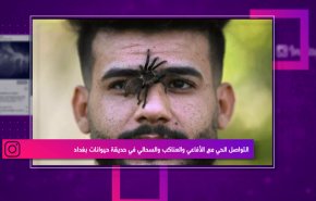 التواصل الحي من الأفاعي والعناكب والسحالي في حديقة حيوانات بغداد
