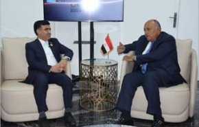 دیدار معاون رئیس‌جمهور ایران با وزیر خارجه مصر
