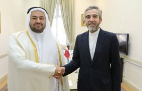 باقری در دیدار با همتای قطری: هر کشوری با مشی سیاسی غربی‌ها زاویه پیدا کند، متهم می شود