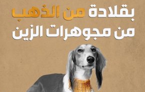 ابنة ملك البحرين تنشر صور لكلبها يتقلد بمجوهرات الزين!