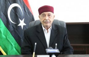 رئيس مجلس النواب الليبي: بارادة الشعب سنتغلب على المشاكل