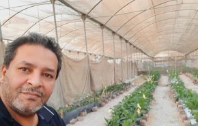 مصري يفوز بجائزة 'عبد الحميد شومان' عن تطبيقات الزراعة دون تربة