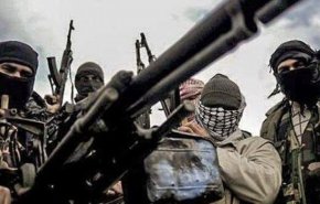 الكشف عن تورط الحكومة الهولندية بدعم المجموعات الإرهابية في سورية 