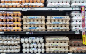 تحلیل سی‌ان‌ان: چرا تخم‌مرغ در آمریکا امسال تا این حد گران شده است؟