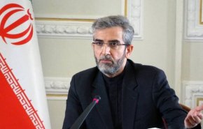 باقري: إيران تصر على مواقفها المنطقية في مفاوضات إلغاء الحظر