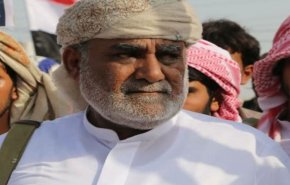 فعال یمنی: امارات به دنبال تاسیس یک بندر نظامی در قشن است