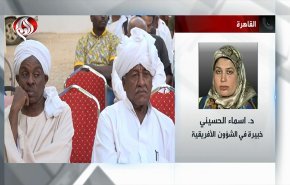 جزئیات پیشنهاد مصر درباره حل بحران سودان