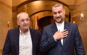 بري يبحث مع عبد اللهيان الاوضاع في لبنان والمنطقة