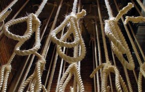 إعدامات في السعودية دون اعلام ذوي المحكومين 