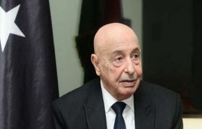 عقيلة صالح: مجلس النواب الليبي هو صاحب القرار في البلاد