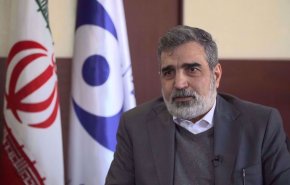 کمالوندی: بیشترین سطوح بازرسی آژانس در ایران انجام می‌شود/ نمی‌توان به وعده‌های غرب اعتماد کرد