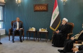 دیدار وزیر امور خارجه با رئیس مجلس اعلای اسلامی عراق