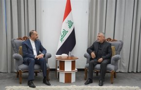 وزیر امور خارجه با هادی العامری رئیس ائتلاف الفتح عراق دیدار کرد