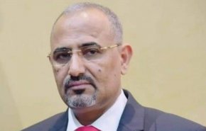 رئیس «شورای انتقالی جنوب یمن» به روسیه سفر کرد