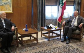 خرازی: سیاست ایران برقراری ثبات و امنیت توسط کشورهای منطقه است
