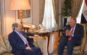 دیدار وزیر خارجه سوریه با همتای مصری در قاهره/ بررسی آخرین تحولات منطقه و جهان